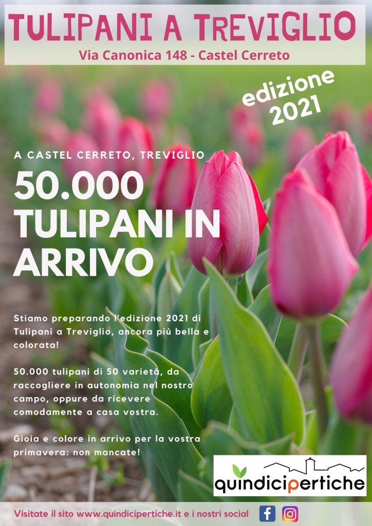 Tulipani a Treviglio 2021
